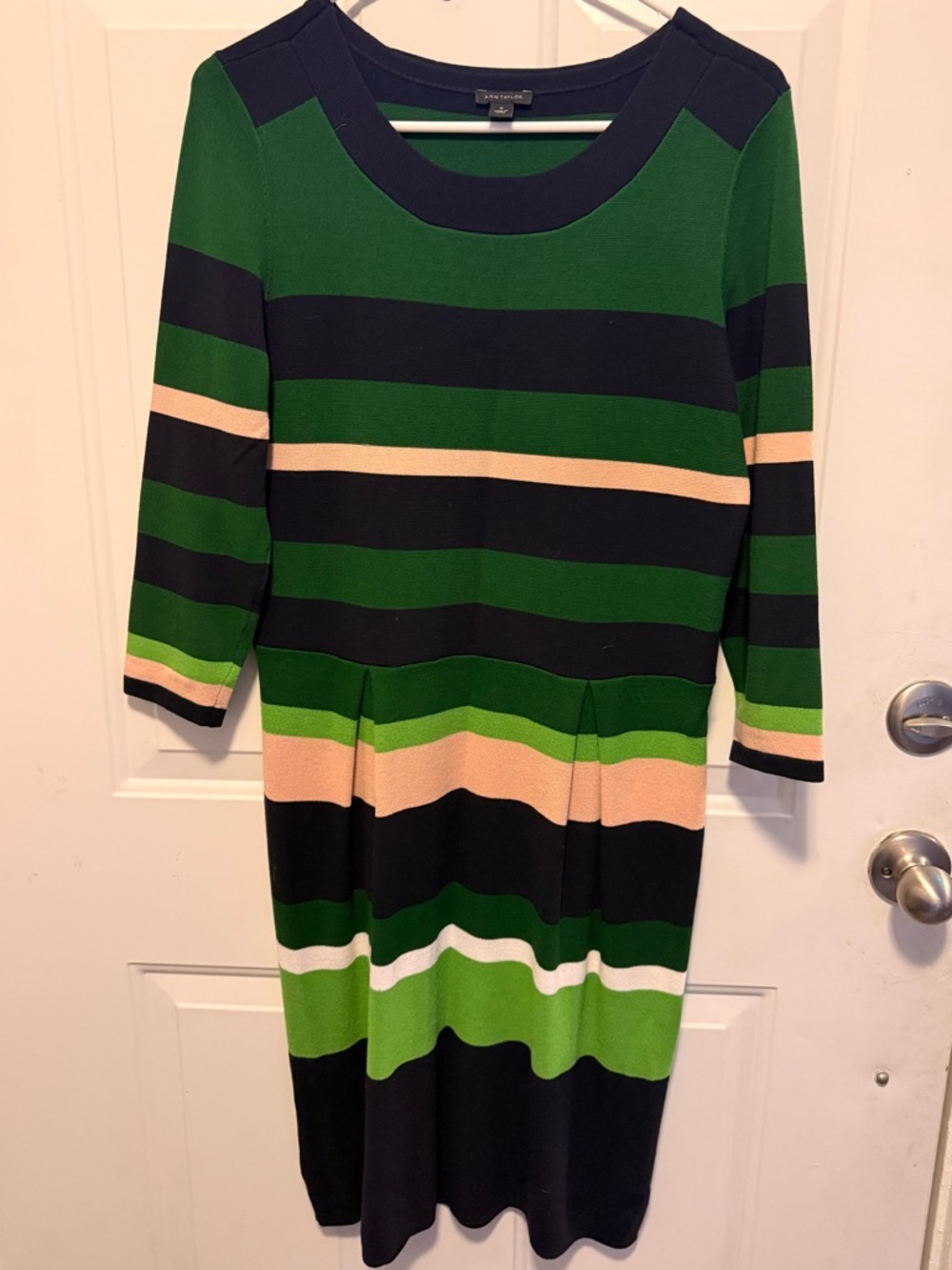 Ann Taylor Green Sweater with Navy Trim